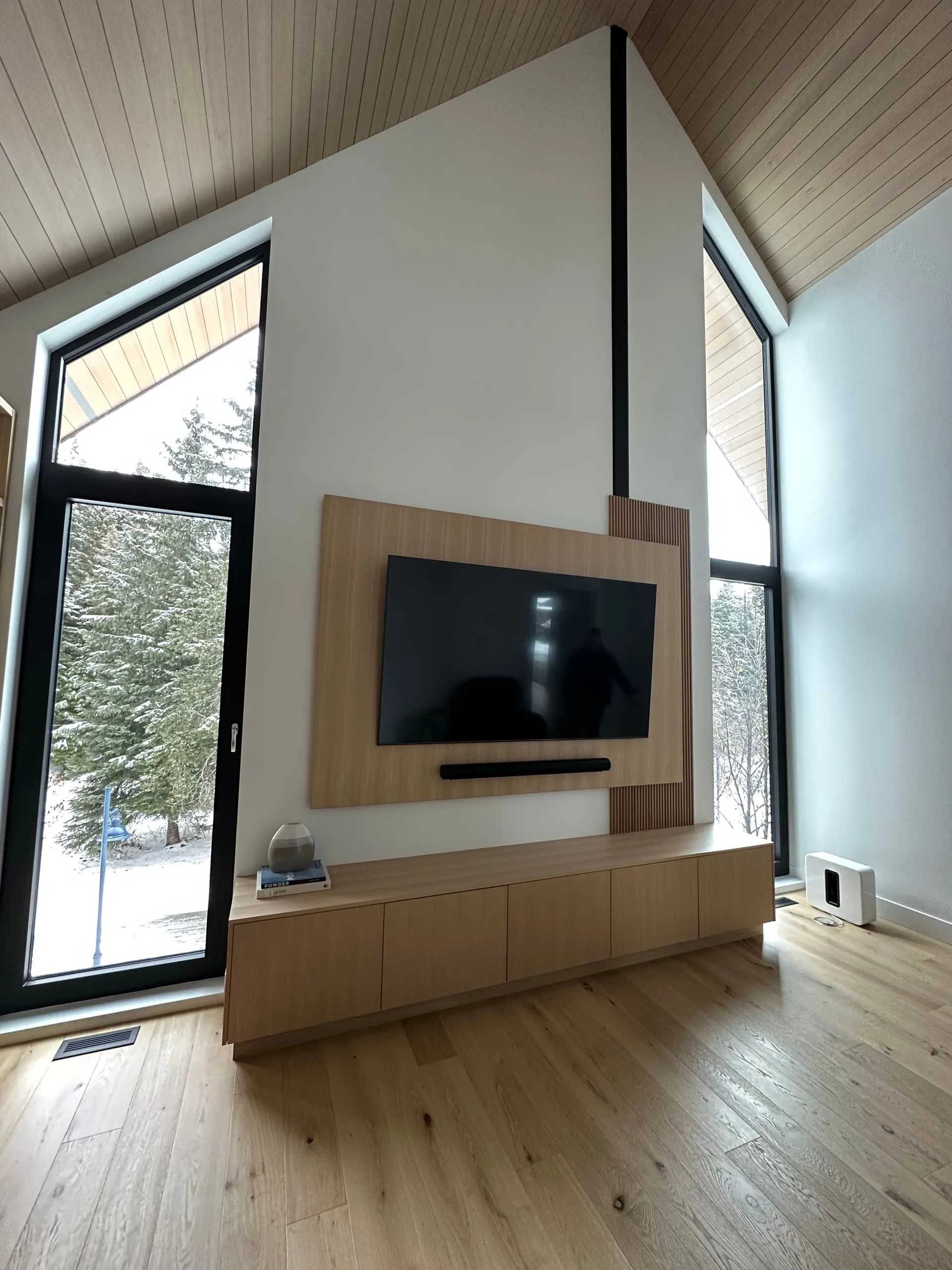 Recreational Entertainment System